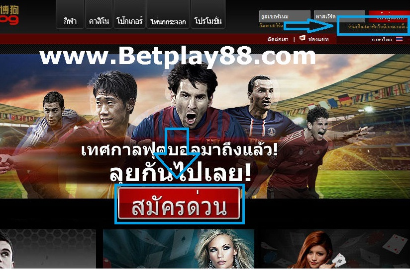 bodog